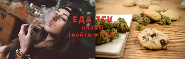 прущие грибы Тихвин