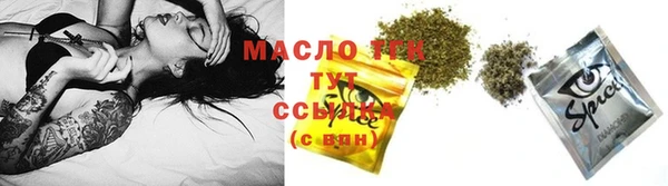 индика Волосово