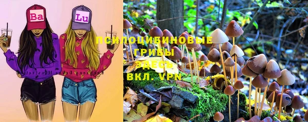 ГАЛЛЮЦИНОГЕННЫЕ ГРИБЫ Верхний Тагил
