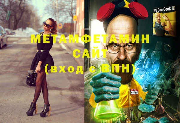 прущие грибы Тихвин