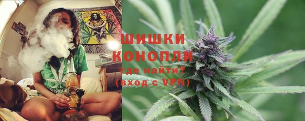 spice Тында